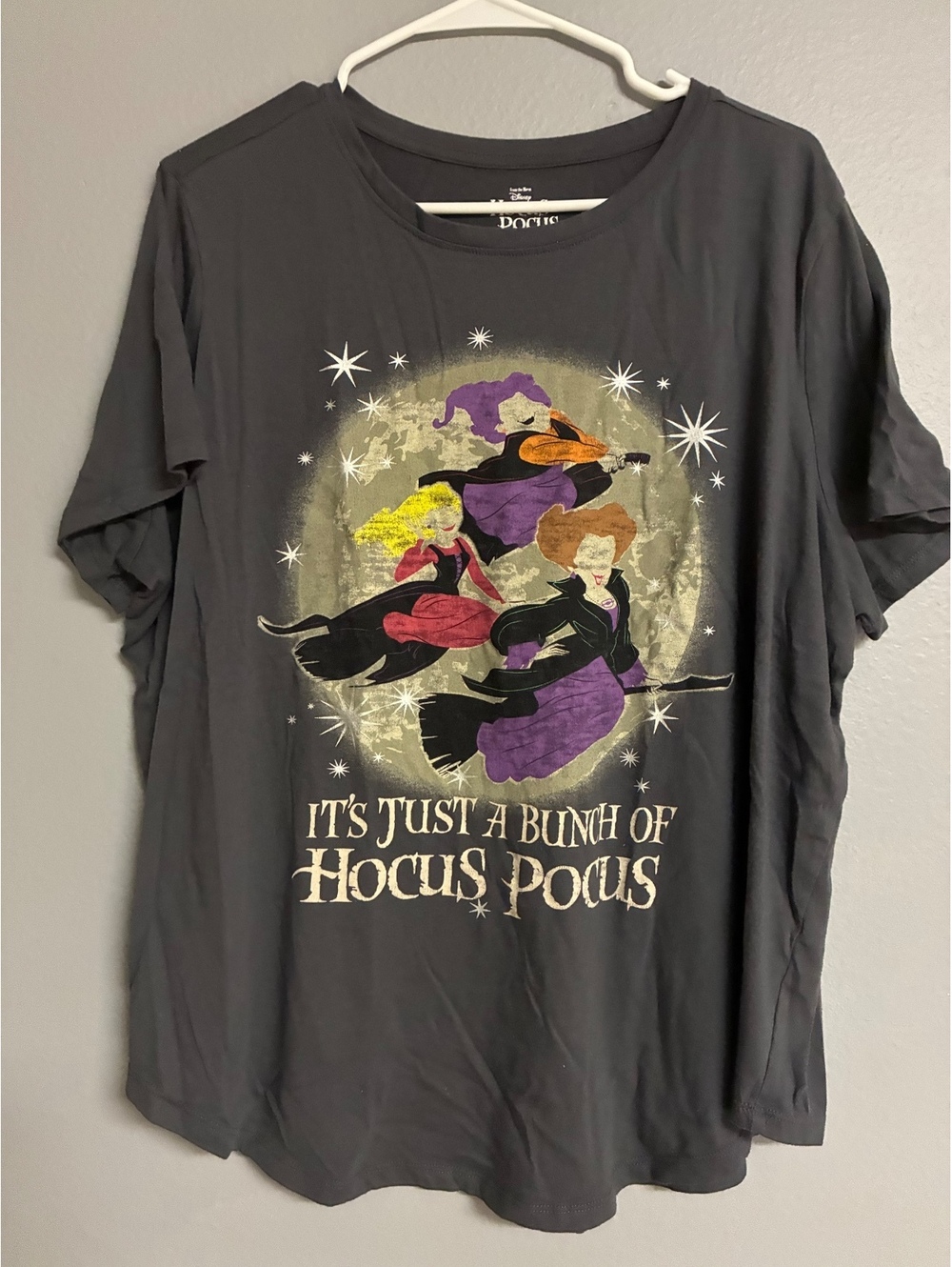 Disney Hocus Pocus "It's Just A Bunch Of Hocus Pocus" Graphic T-Shirt 1X